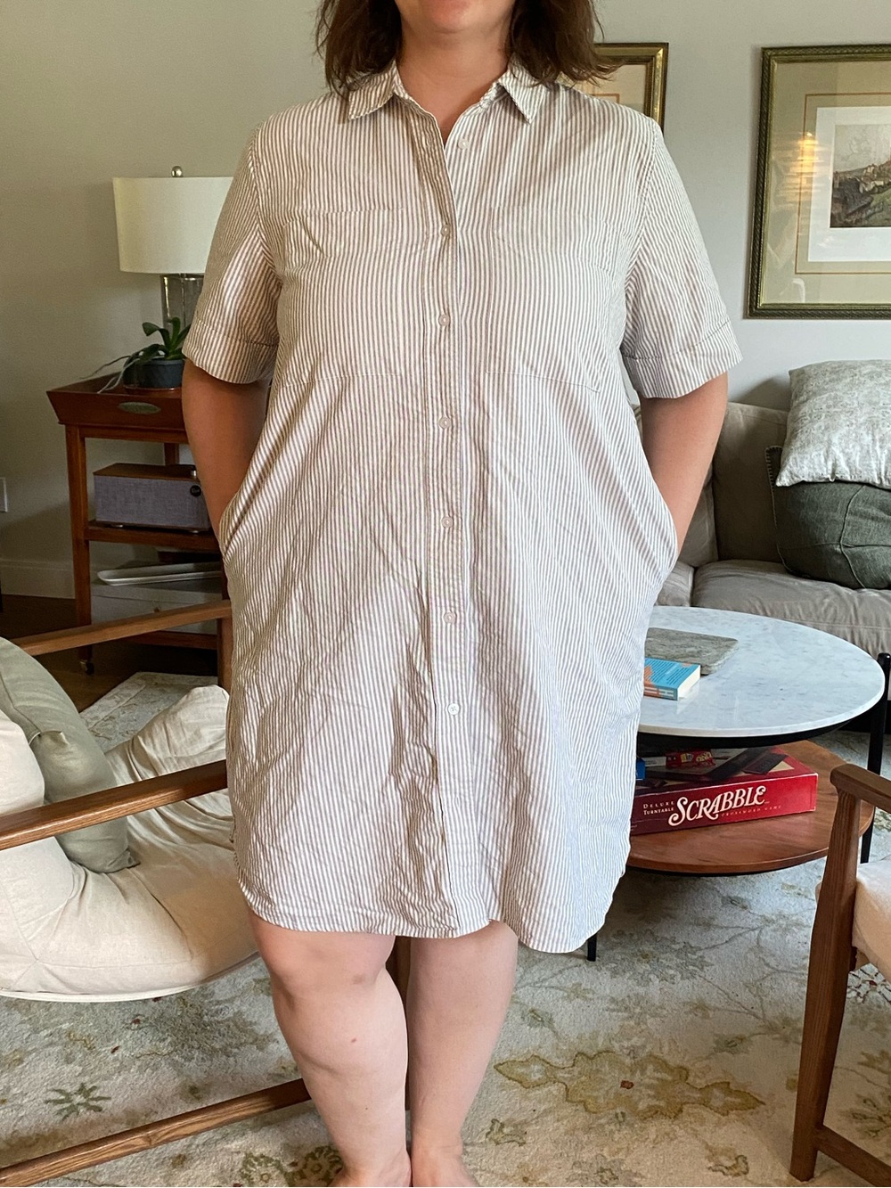 Everlane Oxford Short-Sleeve Shirt Dress